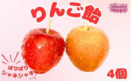 りんご飴 4個／和歌山 田辺市 スイーツ お菓子 デザート りんご飴 りんご リンゴ【yum008】