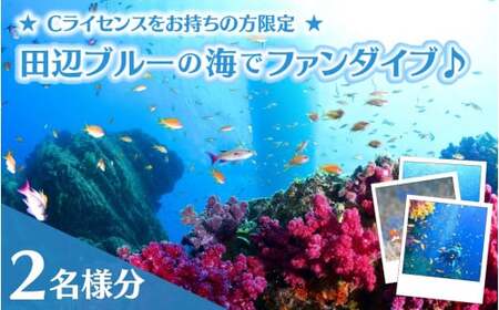 【和歌山 田辺・ファンダイブ/2ボート】大阪から2時間で叶う!田辺ブルーの海♪ 2名様 ★Cライセンスお持ちの方限定★ / ダイビング スキューバダイビング ファンダイビング マリンスポーツ 体験 旅行 観光 レジャー アウトドア サンゴ 熱帯魚 水中 癒し 【tds001-2】
