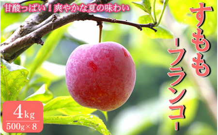 すもも フランコ 4kg 【mtm011】