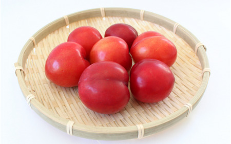 すもも 大石 4kg 【mtm013】