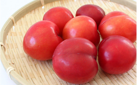 すもも 大石 4kg 【mtm013】