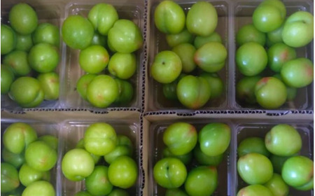 すもも 大石 4kg 【mtm013】