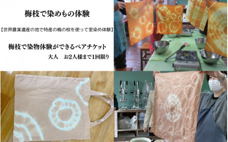 梅枝で染物体験ができるペアチケット /  体験 手作り 染物 リラックス  和歌山 田辺市  チケット ペアチケット ハンドメイド【grt006-1】