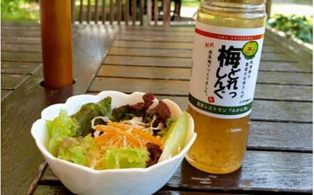 農家のお母さん手づくり梅ドレッシング  200ml×3本  /  野菜 サラダ 調味料 ギフト お取り寄せ 和歌山県 田辺市 【grt008-1】