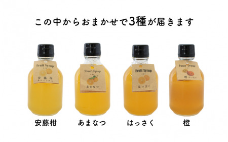 フルーツシロップ おまかせ3種セット(200g×3) / シロップ 希釈 ジュース オレンジ みかん 柑橘 ビン 詰め合わせ 食べ比べ 和歌山県 田辺市【ktr021】