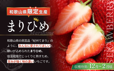 いちご まりひめ 【ご家庭用】 約300g×4パック M~3Lサイズ (サイズ指定不可)【tcs003】