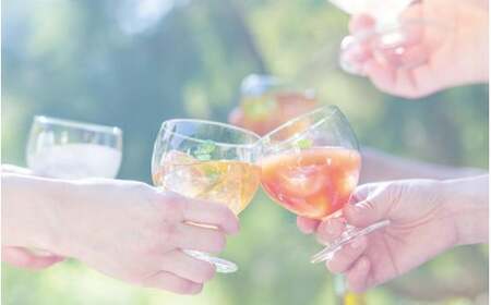 梅酒ishigami&（イシガミアンド）（桃ジンジャー） 600ml×2本 /  桃 生姜 梅干し 梅 うめ 炭酸割り ロック 和歌山 田辺市 紀州産 南高梅 完熟梅 フルーツ【isg043】