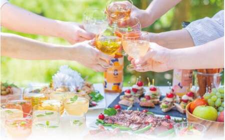 梅酒ishigami&（イシガミアンド）（桃ジンジャー） 600ml×2本 /  桃 生姜 梅干し 梅 うめ 炭酸割り ロック 和歌山 田辺市 紀州産 南高梅 完熟梅 フルーツ【isg043】