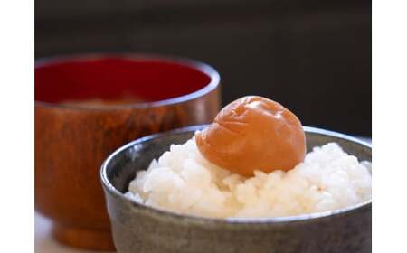 紀州産南高梅 わらべ風味 塩分約11％ 500g 紙箱/ 梅干し 梅干 梅 和歌山 田辺 紀州南高梅 南高梅 かつお だし 出汁 減塩 塩分控えめ ご飯のお供【wrb001-1】