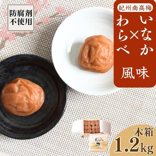 紀州産南高梅 わらべ風味といなか風味のセット 計1.2kg (600g×2種) 木箱/ 梅干し 梅干 梅 和歌山 田辺 紀州南高梅 南高梅 かつお昆布だし お試し 出汁 磯塩 防腐剤不使用 ご飯のお供 スポーツ 運動 塩分補給【wrb009-1】