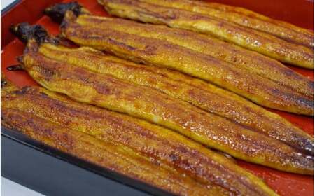 【3カ月定期便】 国産うなぎ蒲焼 大サイズハーフカット（頭尾なしで1袋70g以上）3袋セット×3回 / 国産うなぎ 国産鰻 うなぎ 鰻 定期便 鰻丼 うな丼 土用の丑の日  田辺市 国産  【ots033-tk】