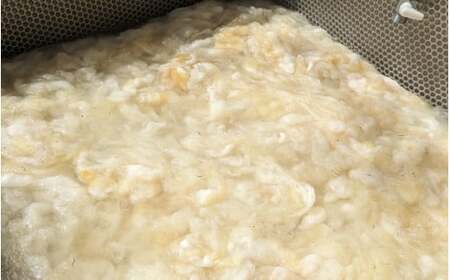 【ご予約】日本産 羊の糸 約100g×1かせ ※2025年10月頃から順次配送 / 毛糸 手芸 編み物 羊 ひつじ 糸 和歌山 本宮 【tsg001】