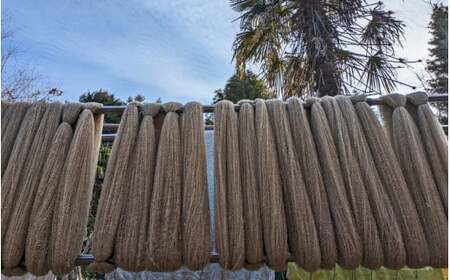 【ご予約】日本産 羊の糸 約100g×1かせ ※2025年10月頃から順次配送 / 毛糸 手芸 編み物 羊 ひつじ 糸 和歌山 本宮 【tsg001】