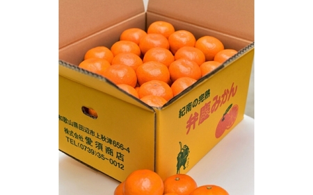 【期間限定・先行予約・12/20まで受付】紀南の温州みかん10kg※2025年11月20日頃~2025年12月末頃に順次発送予定 / 田辺市 温州みかん みかん フルーツ【ais002】