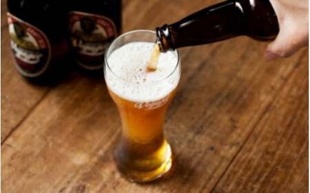 クラフトビール ボイジャーブルーイング THRUSTER（アルコール度数4.5％）330ml×12本 クール便 / 和歌山 田辺市 クラフトビール 地ビール 瓶ビール 地酒 ボイジャーブルーイング セット 父の日 ギフト プレゼント 贈り物【bbi010-1】