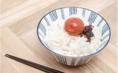 しそ漬梅（塩分約11％）1.1ｋｇ  / 田辺市 紀州南高梅 南高梅 梅干し 梅干 梅 うめ 肉厚 お米 おにぎり 焼酎 梅酒 健康 しそ 紫蘇 しそ漬け【fuz007-1】