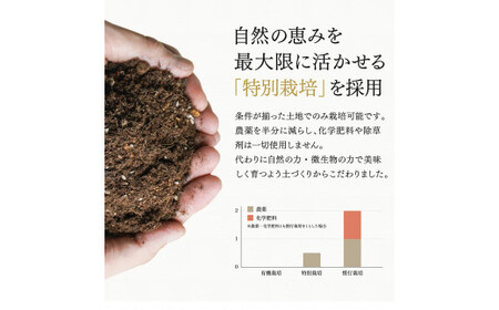 完熟梅酒「上芳養」（アルコール度数13％以上14％未満）720ｍｌ×4本  / 和歌山県 和歌山県産 不動農園 上芳養 田辺市 南高梅 紀州南高梅 完熟梅 梅酒 お酒 無添加梅酒 無添加 ロック 水割り 宅飲み 家飲み【hdu003-1】