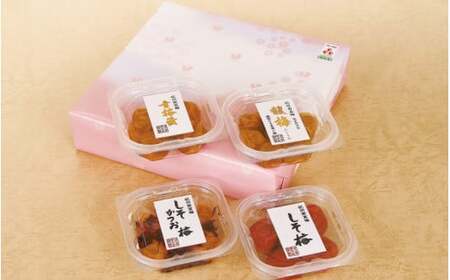 紀州南高梅 梅の舞セット(幸梅漬・しそかつお梅・馥梅・しそ梅 各60g) / 田辺市 紀州南高梅 南高梅 梅干し 梅干 梅 うめ 肉厚 お米 おにぎり 焼酎 梅酒 健康 しそ かつお はちみつ セット【ikm013】