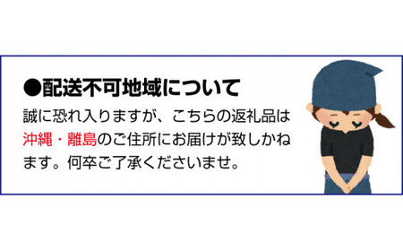 ちびっこ梅（塩分8％）800g  / 和歌山 田辺市 紀州南高梅 南高梅 梅干し 梅干 梅 うめ 肉厚 お米 おにぎり おむすび 健康 うす塩味  塩分8％ 塩分控えめ 減塩 お弁当 一口 小粒【isg010-2】