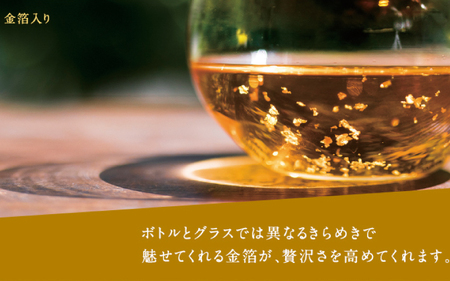 【五年熟成】梅酒濱田 HAMADA　750ml  13度/ 田辺市 梅干し 梅干 梅 うめ 梅酒 酒 紀州産 完熟梅 南高梅 金箔【isg019-1】
