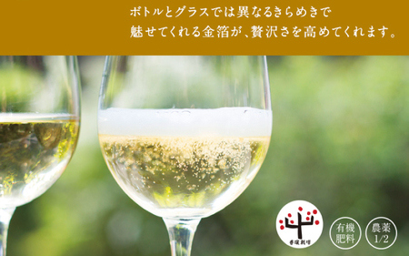 【五年熟成】梅酒濱田 HAMADA　750ml  13度/ 田辺市 梅干し 梅干 梅 うめ 梅酒 酒 紀州産 完熟梅 南高梅 金箔【isg019-1】