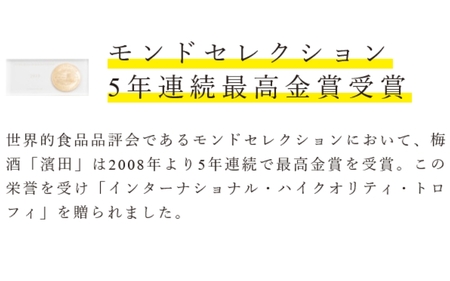 【五年熟成】梅酒濱田 HAMADA　750ml  13度/ 田辺市 梅干し 梅干 梅 うめ 梅酒 酒 紀州産 完熟梅 南高梅 金箔【isg019-1】
