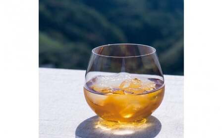 本格梅酒 「HAMADA」白ラベル スタンダード 720ml 13度/ 田辺市 梅干し 梅干 梅 うめ 梅酒 酒 紀州産 完熟梅 南高梅 本格梅酒【isg020-1】