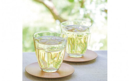 梅搾り(ノンアルコール)490ml / 紀州南高梅 梅干し 梅干 梅 うめ 梅ジュース 和歌山 田辺市 炭酸割り 紀州産 南高梅 完熟梅【isg027-1】