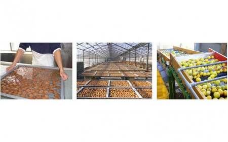 黒糖梅 A級品 250g×4個 計1kg/ 和歌山 和歌山県産 田辺市 紀州南高梅 南高梅 梅干し 梅干 梅 沖縄県産黒糖 黒糖 A級【kfo004-1】