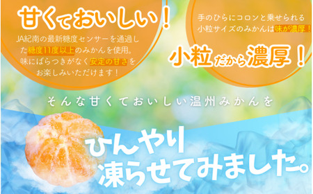 冷凍みかん 紀州産わっ！美柑セット 10個入 / 田辺市 温州みかん 冷凍みかん みかん 皮むき Sサイズ 2Sサイズ 個包装【kms003】