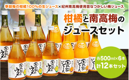 紀州産ミカンジュースと南高梅のジュースセット 季節毎の柑橘ジュース500ml×６本・梅ジュース500ml×６本 / 和歌山 和歌山県産 田辺市 紀州南高梅 梅  梅ジュース みかん みかんジュース 100％ジュース ジュースセット【ktr006-3】