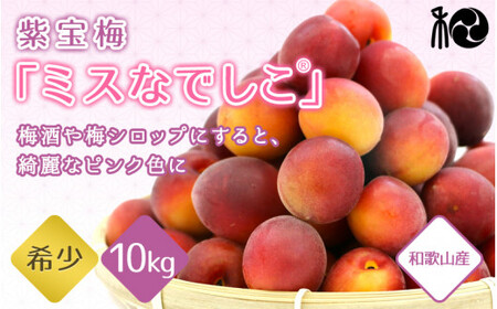 【2025年分先行予約】紫宝梅『ミスなでしこ®』【青梅：10kg】※2025年6月上中旬頃に順次発送予定【期間限定・先行予約・5/31まで】  / 田辺市 青梅 梅 紫宝梅 大梅 大玉 梅シロップ 梅酒【ngm010-1】