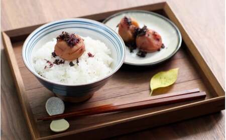 紀州南高梅 かつお梅（塩分約9％）500g  / 紀州南高梅 南高梅 梅干し 梅干 梅 うめ 和歌山 田辺市 肉厚 お米 おにぎり 焼酎 梅酒 健康 かつお梅 産地直送【nkn006-3】