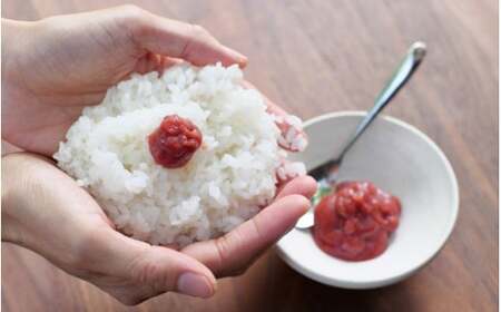 紀州南高梅 ねり梅セット （500g×3本） / 紀州南高梅 南高梅 梅干し 梅干 梅 うめ 和歌山 田辺市 肉厚 お米 梅肉 しそ しそ風味 練り梅 練梅【nkn007-2】