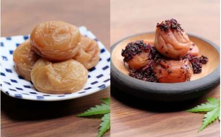 紀州南高梅「農家の梅」はちみつ梅（塩分約3％、レモンパウダー入り）・かつお梅（塩分約9％）のセット 各500g  / 紀州南高梅 南高梅 梅干し 梅干 梅 うめ 和歌山 田辺市 肉厚 お米 おにぎり 焼酎 梅酒 健康 かつお梅 産地直送 はちみつ レモン セット 食べ比べ【nkn010-3】