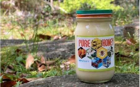 PURE HONEY 純粋はちみつ 300g / 田辺市 はちみつ ハチミツ 蜂蜜 無