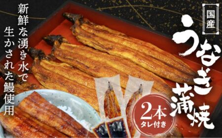 うなぎ 蒲焼 ２本 国産 【ots016】