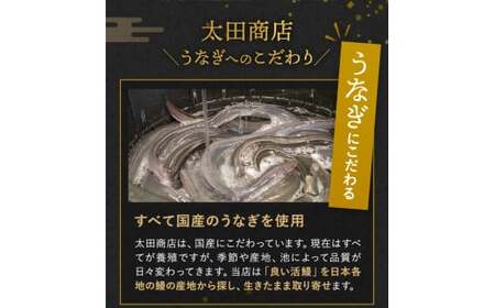  国産うなぎ蒲焼（5本）タレ付き うなぎおむすび付（数量限定） /  うなぎ 鰻 ウナギ 和歌山 田辺市 国産 国産うなぎ 国産鰻 うなぎ 鰻 鰻丼 うな丼 土用の丑の日  【ots018】