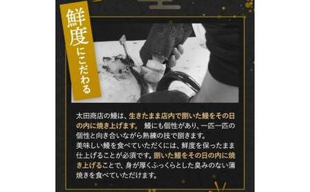  国産うなぎ蒲焼（5本）タレ付き うなぎおむすび付（数量限定） /  うなぎ 鰻 ウナギ 和歌山 田辺市 国産 国産うなぎ 国産鰻 うなぎ 鰻 鰻丼 うな丼 土用の丑の日  【ots018】