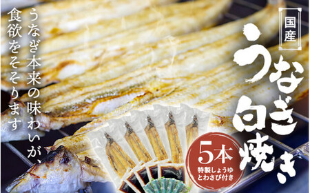 国産うなぎ白焼（5本） / 和歌山 田辺市 国産 国産うなぎ 国産鰻 うなぎ 鰻 鰻丼 うな丼 土用の丑の日【ots021】