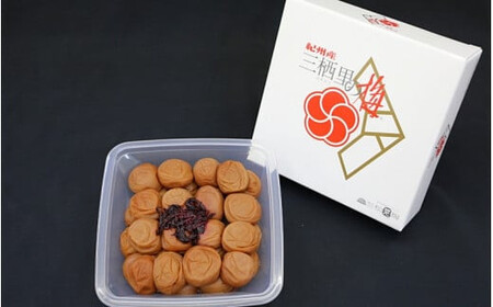 紀州南高梅　三栖里の梅（塩分10%）　700g  / 田辺市 紀州南高梅 南高梅 梅干し 梅干 梅  肉厚 お米 おにぎり 焼酎 梅酒 健康 【ske006-1】