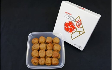 紀州南高梅　紀州土用干梅（塩分21％）　700g  / 田辺市 紀州南高梅 南高梅 梅干し 梅干 梅  肉厚 お米 おにぎり 焼酎 梅酒 健康 【ske011-1】