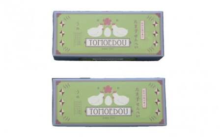 たま子せんべい（うめ塩味）10枚入り×2箱セット / 和歌山 田辺市 お菓子 煎餅 お煎餅 せんべい おせんべい 銘菓 レトロ 梅塩 ギフト プレゼント お土産【tme002】