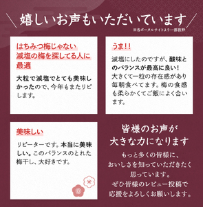 一梅千日うす塩味梅（塩分6％） 「風」 A級4Lサイズ1kg / 和歌山 和歌山県産 田辺市 紀州南高梅 南高梅 梅干し 梅干 梅 うめ A級品 4L 肉厚 お米 おにぎり 焼酎 梅酒 健康 うす塩味 塩分6％ ご飯のお供【umm001】