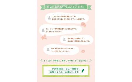 紀州梅酒　720ｍl×6本入（化粧箱入り） / 田辺市 紀州南高梅 南高梅 梅酒 梅 ロック 水割り 化粧箱入り プレゼント ギフト お土産 贈答【umy012】