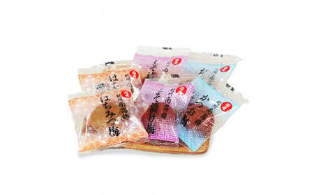 紀州南高梅アソートセレクション24個入り 1ケース（12袋入り） / 田辺市 紀州南高梅 南高梅 梅干し 梅干 梅 個包装 はちみつ梅 しそ梅 かつお梅 食べ比べ