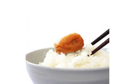 ご家庭用紀州南高梅はちみつ450g / 田辺市 紀州南高梅 南高梅 梅干し 梅干 梅 はちみつ梅 はちみつ漬け 家庭用 お家用【umy020-1】