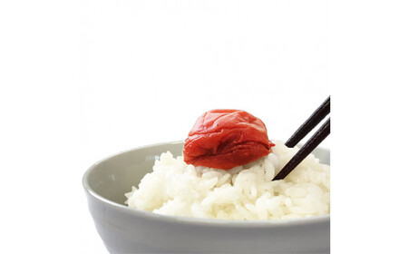 ご家庭用紀州南高梅しそ漬け450g / 田辺市 紀州南高梅 南高梅 梅干し 梅干 梅 しそ梅 しそ漬け 家庭用 お家用【umy021-1】