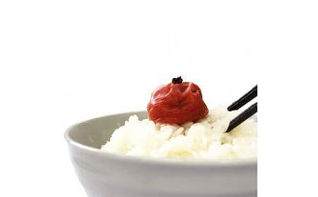 ご家庭用紀州南高梅かつお梅450g / 田辺市 紀州南高梅 南高梅 梅干し 梅干 梅 かつお梅 家庭用 お家用【umy022-1】