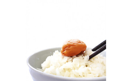 ご家庭用紀州南高梅梅そのまま450g / 田辺市 紀州南高梅 南高梅 梅干し 梅干 梅 白干し梅 昔ながらの梅干し 家庭用 お家用【umy023-1】